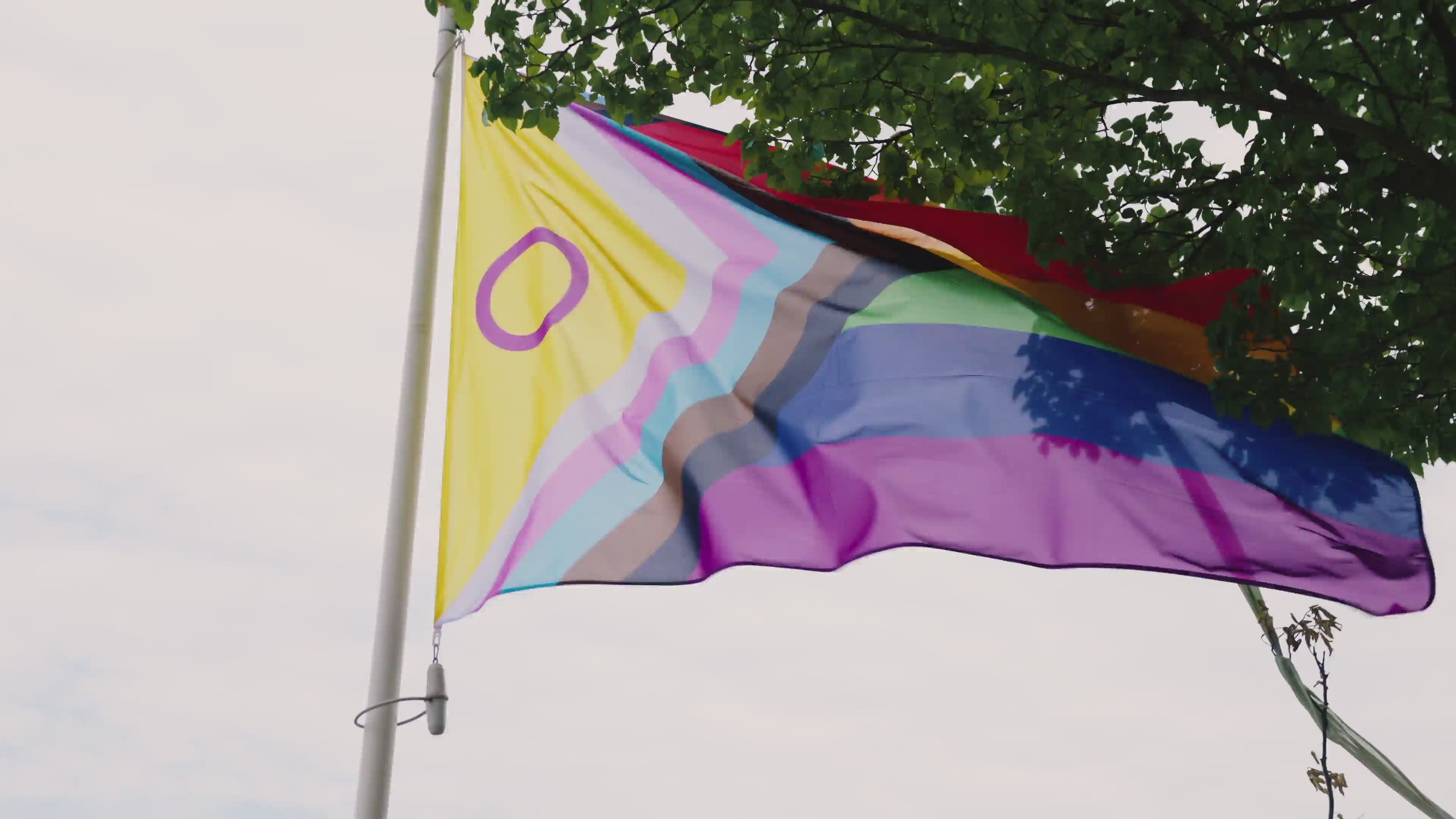 Video laden: Pride Amsterdam 2025 after movie Ikwilvanmijnsoaaf boot